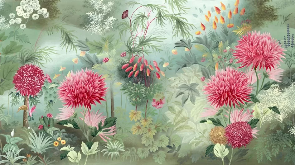 BloomingCouleur - Ananbô