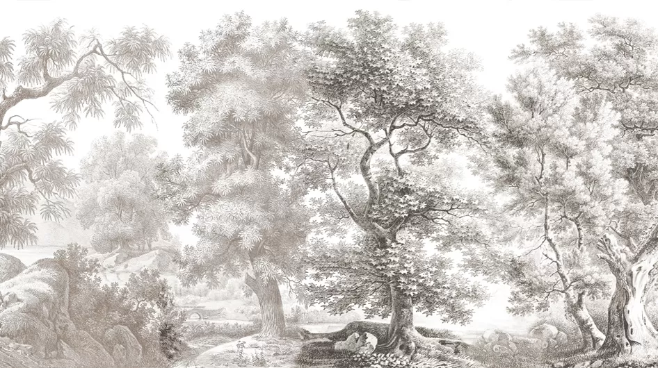 Sous-boisGrisaglia - Ananbô