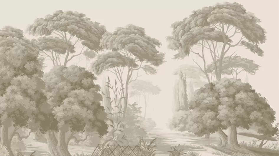 Pins et oliviersGrisaille sépia - Ananbô