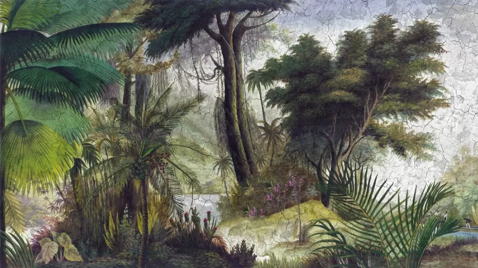 OrénoqueCor Pátina século XVIII craquelada - Ananbô