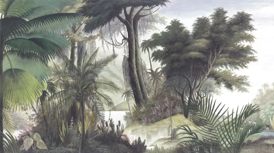 Les sources de l'OrénoqueGrisaglia - Ananbô