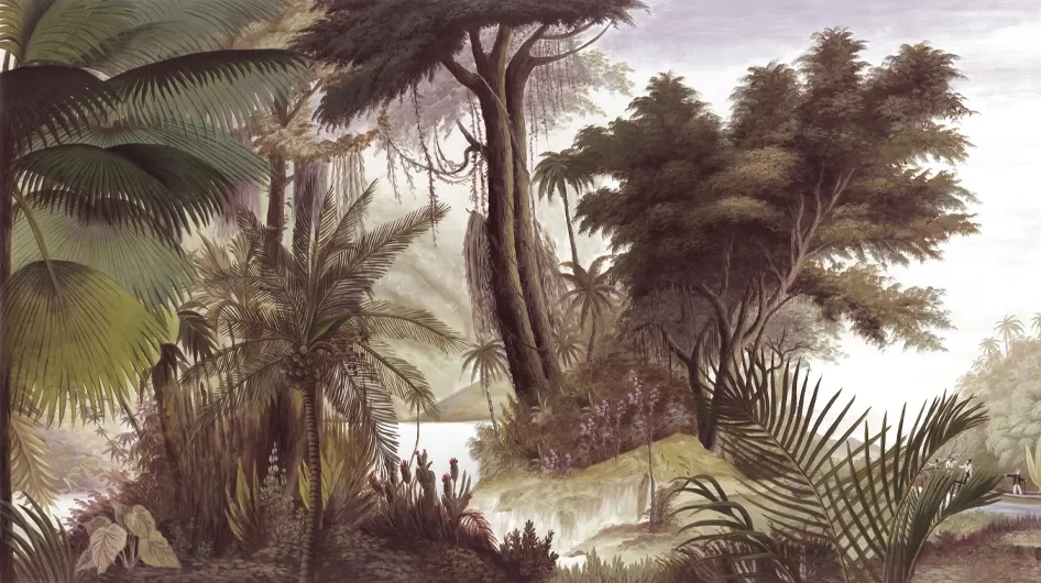 Les sources de l'OrénoqueSeppia - Ananbô