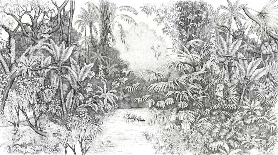 L'Île au PerroquetBianco e nero - Ananbô