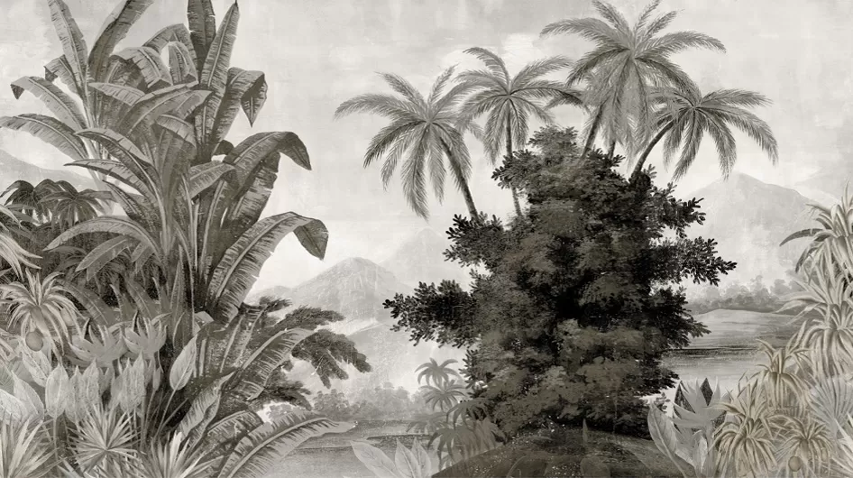 TanaGrisaille - Ananbô