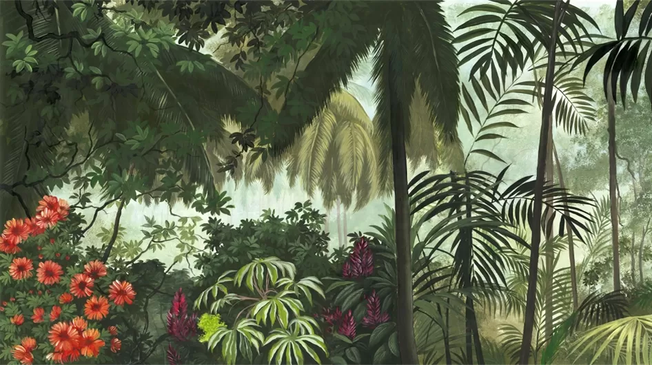 InawâCor - Ananbô