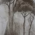 Bonnieux sépia