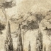 Papel de parede para compor Cipressi di Tivoli