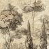 Papel de parede para compor Cipressi di Tivoli