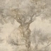 Papel de parede para compor Oliveto