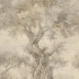 Papel de parede para compor Oliveto