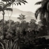 Jardin Balinais terre brune