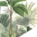 Bali Bawan couleur 