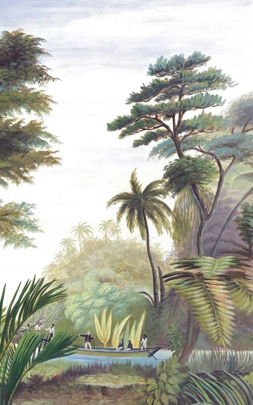 Les sources de l'Orénoque couleur