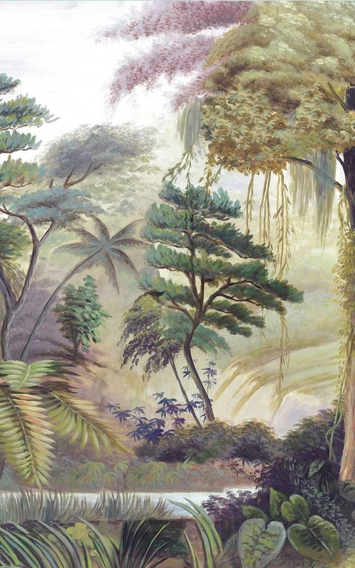 Les sources de l'Orénoque couleur